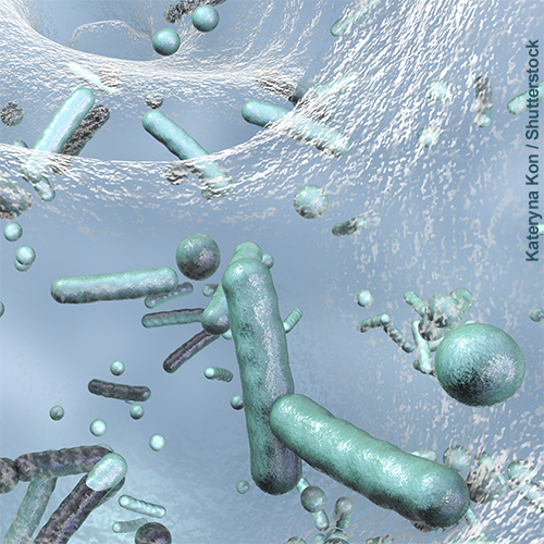 Biofilm Molecule Image