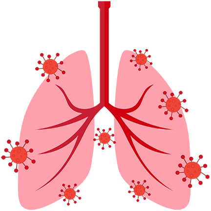 Respiratory Infections Image